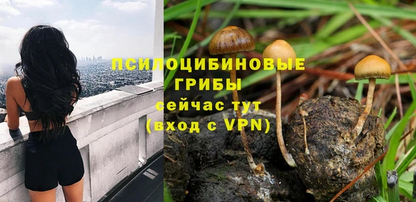 марки nbome Алексеевка